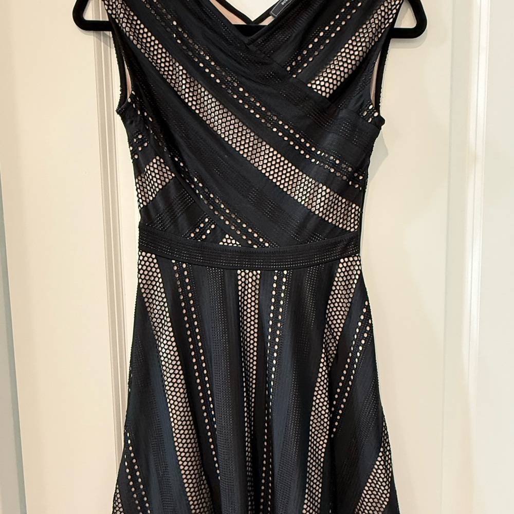 BCBGMaxAzria Black Mesh-Overlay Fit & Flare Mini Dress with Nude Lining